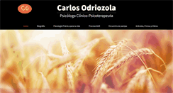 Desktop Screenshot of carlosodriozola.com